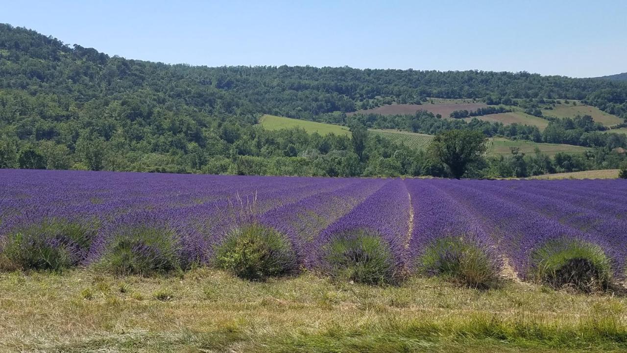 La Fontaine Au Loup Hotel Saint-Maurice-sur-Eygues Luaran gambar